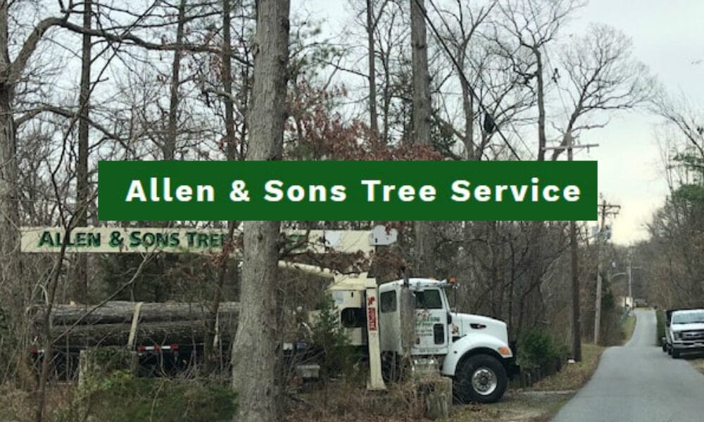 Allen & Sons Tree Service Inc