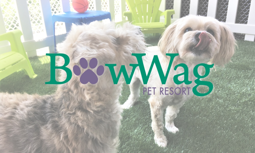 BowWag Pet Resort
