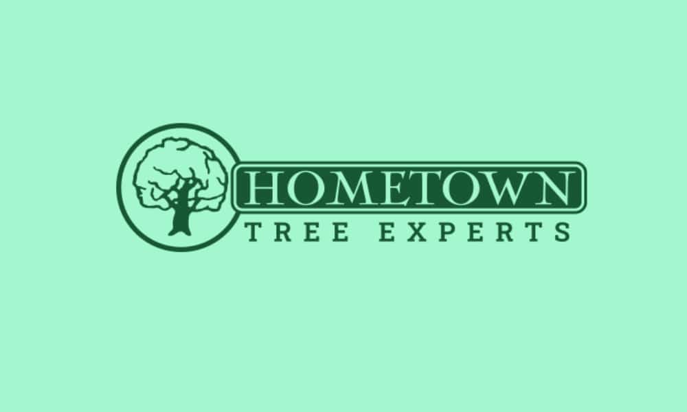Hometown Tree Experts