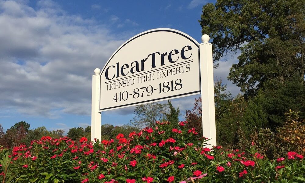 ClearTree